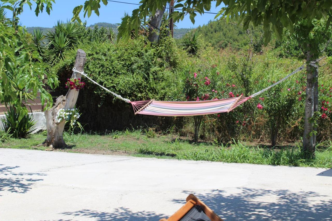 Anastazia Paradise Kolios