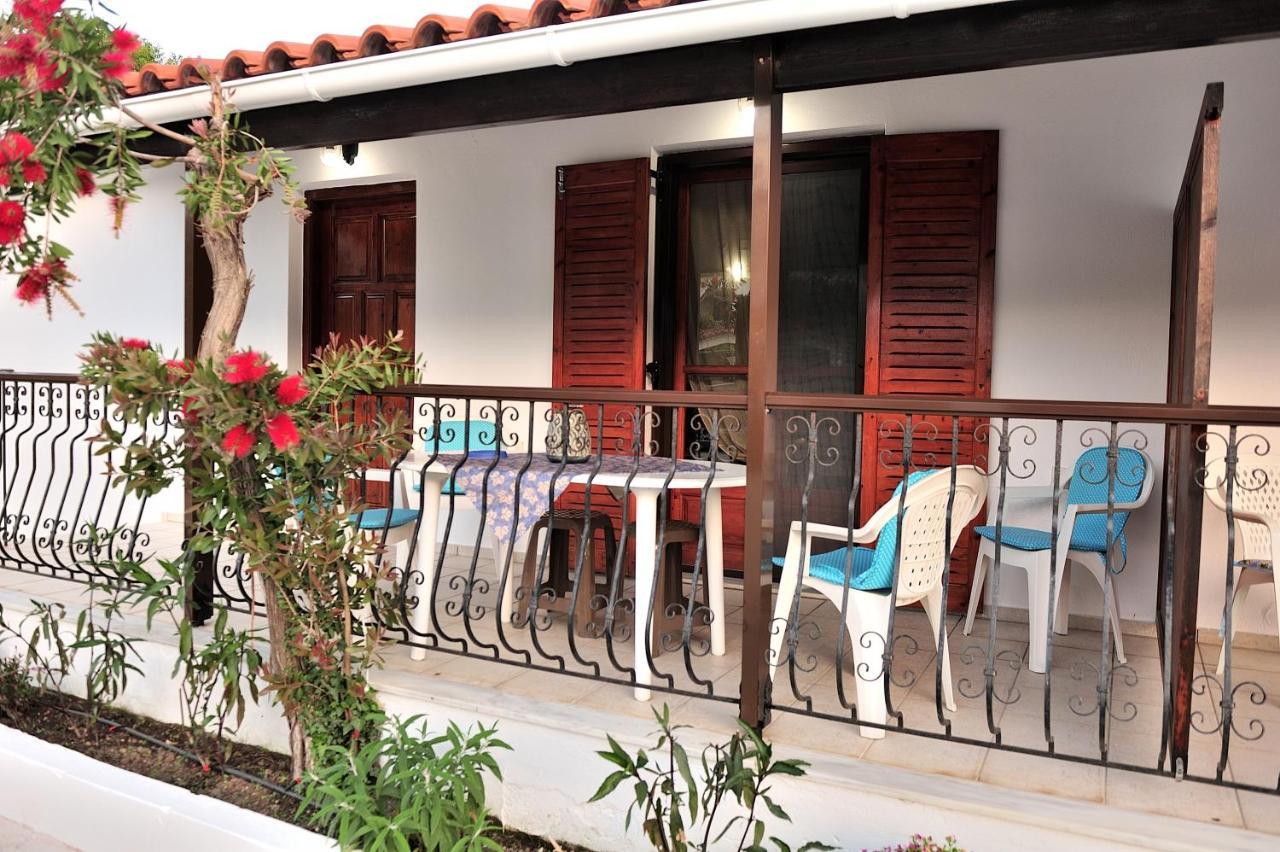 Anastazia Paradise Kolios