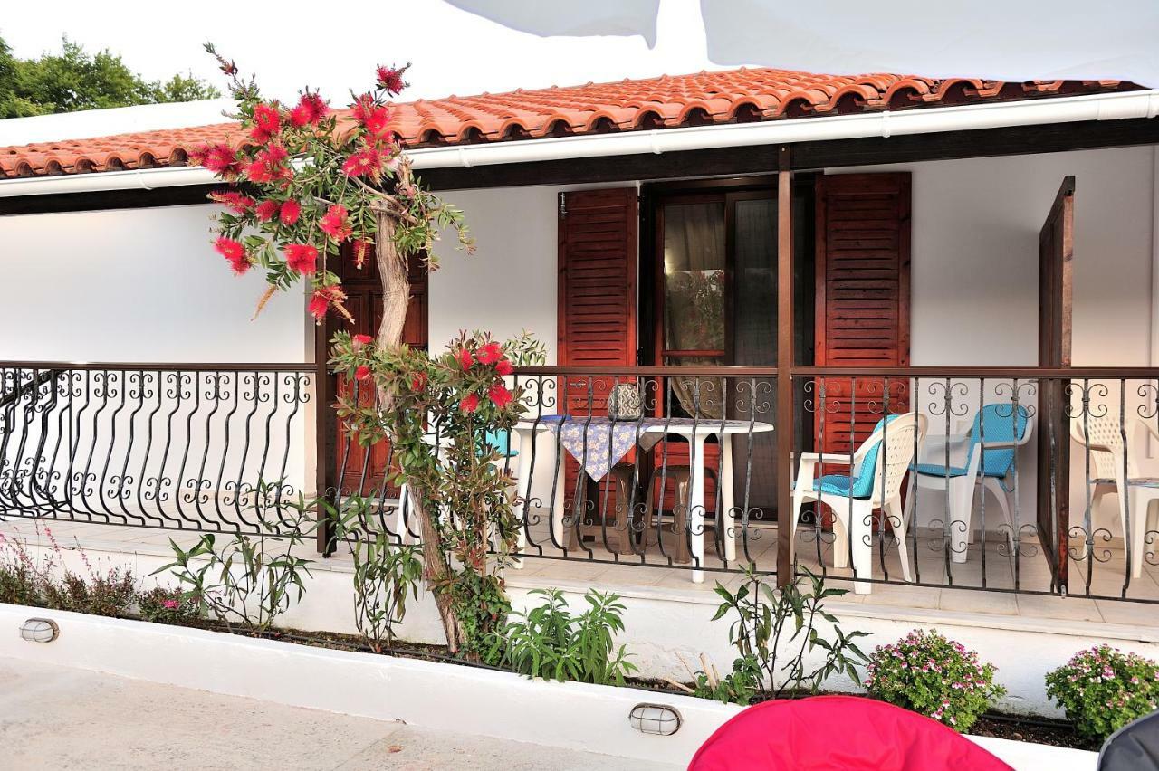 Anastazia Paradise Kolios